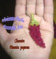CHAVEIRO PIMENTA PEQ.
